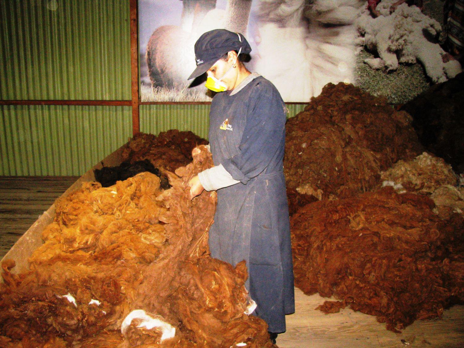 Entre Italia y China sumaron el 83.5% de la demanda de fibra de alpaca. (Foto: Difusión)