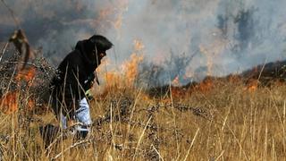 Minagri coordina estrategias para reforestar áreas afectadas por incendio en Cajamarca