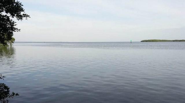 Coquina Key. Private Islands Online (Foto: MSN)