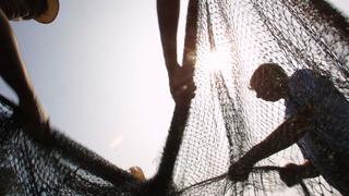 Pescadores artesanales en desacuerdo con que industriales pesquen cerca de la costa sur
