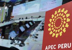 APEC, un espacio para el desarrollo de una diplomacia socioeconómica