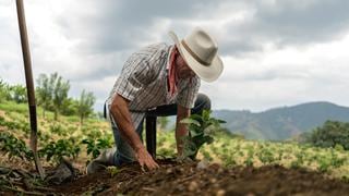 ¿Cómo los agricultores y científicos modifican tus alimentos para que tengan mejor sabor?