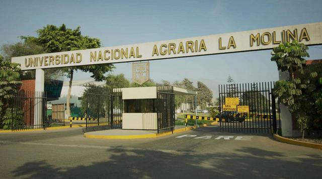 Puesto 8. Universidad Nacional Agraria La Molina. Los recién egresados de la carrera de Ingeniería en Gestión Empresarial ganan en promedio S/ 3,576.