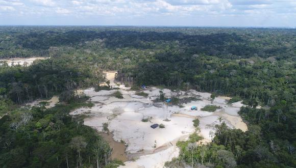 “Los ecosistemas de bosques de Perú y de gran parte de la región de América Latina se han convertido lamentablemente en laboratorios de economías ilegales”, señaló la directora del Programa de Gobernanza Ambiental de Proética en Perú, Magaly Ávila. (Foto: FEMA)