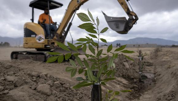 Una excavadora prepara el terreno donde se plantarán 300 árboles en el campo deportivo El Porvenir en Valle de Guadalupe, estado de Baja California, México, el 22 de octubre de 2022. (Foto de Guillermo Arias / AFP)