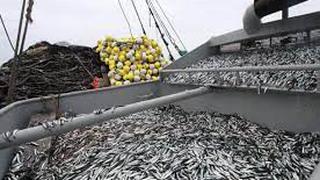 Clima seguiría dificultando pesca de anchoveta hasta febrero