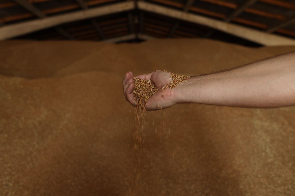 The extension of the grain export agreement remains blocked seven days after it expires