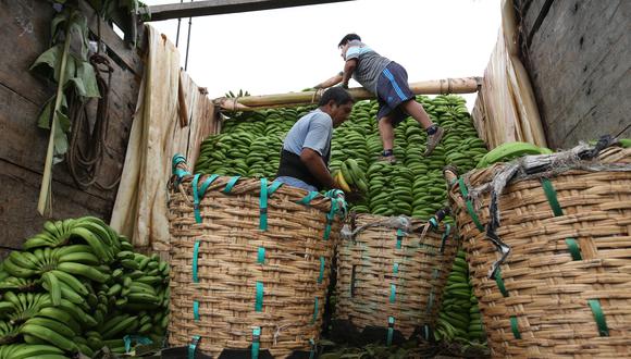 La producción de plátano se verá beneficiada, indicó el Midagri. (Foto: GEC)