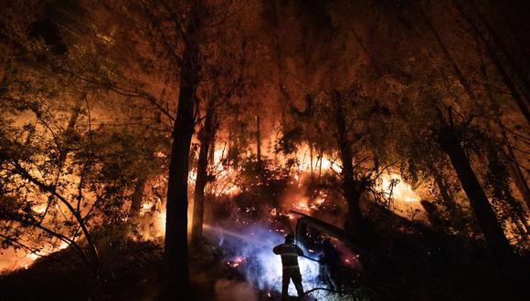 Unas 10 personas habrían fallecido por los incendios en Chile. (Foto: Felipe Ignacio González).