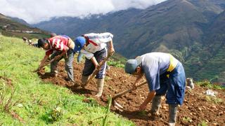 Pequeños agricultores podrán pedir créditos del FAE-AGRO con solo una declaración jurada