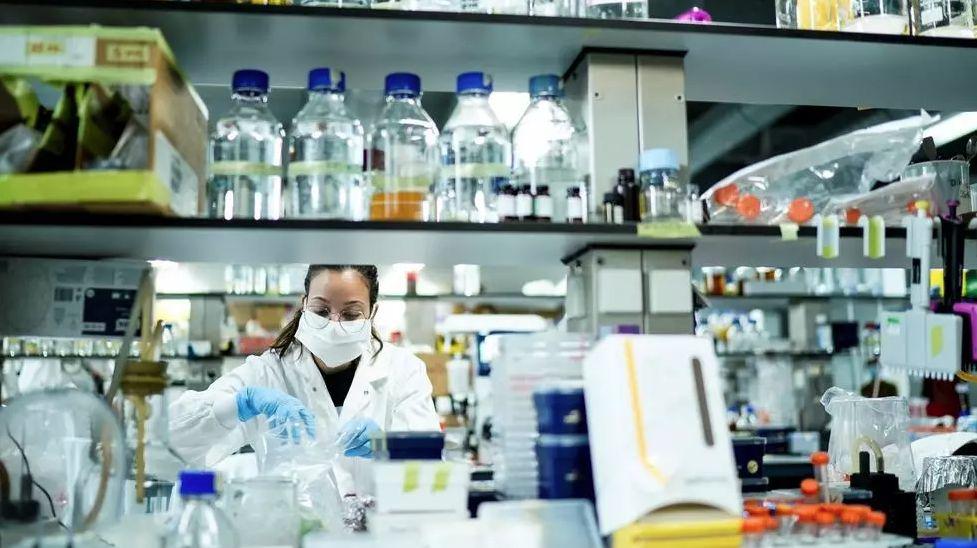 Al inocular a una llama cobaya una proteína llamada “de pico” presente en la superficie de este virus, constataron que el animal conseguía producir un anticuerpo capaz de desempeñar el papel de escudo y de “neutralizar” los efectos del virus.