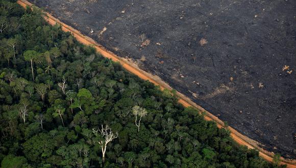 Una zona deforestada en Porto Velho, estado de Rondonia, Brasil.  Foto: Bruno Kelly / Reuters