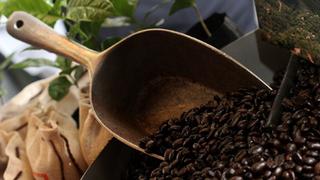 INEI: Producción de café aumentó 13.6% en junio del 2017