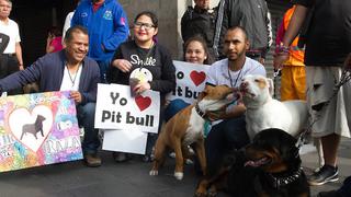 Personalidad de perros no depende tanto de su raza, señala estudio