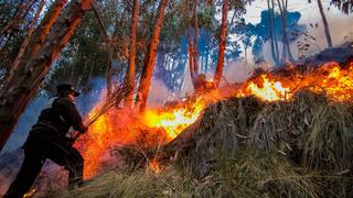 En Cusco todas las provincias tienen condiciones de media a muy alta para ocurrencia de incendios