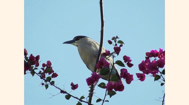 Parque Zoologico Municipal Quinzinho De Barros,  Sorocaba, Brasil.