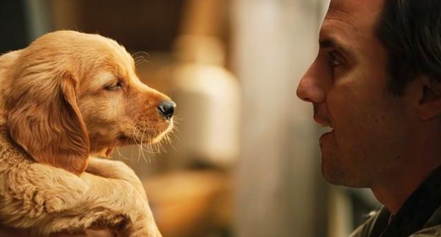 Foto 10 | La cinta del director Simon Curtis, "The Art of Racing in the Rain", recaudó US$ 4.4 millones entre el viernes y domingo. (Foto: 20th Century Fox