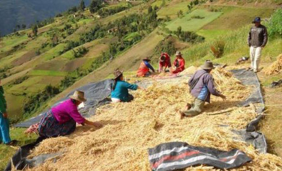 OCDE La agricultura es una actividad