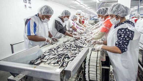 El subsector de manufactura primaria avanzó en 10.7% por la mayor actividad del procesamiento de productos pesqueros. (Foto: Difusión)
