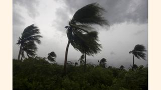 Vea los estragos que está causando el poderoso huracán Matthew en la costa este de Florida