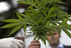 ¿Cuántos usuarios de marihuana ilegal hay en Uruguay?