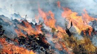 Un incendio calcina al menos 80 hectáreas en los Andes de Perú