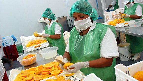 Holanda, Estados Unidos y España fueron los tres mercados que demandaron mayor mango peruano durante el primer trimestre. (Foto: GEC)