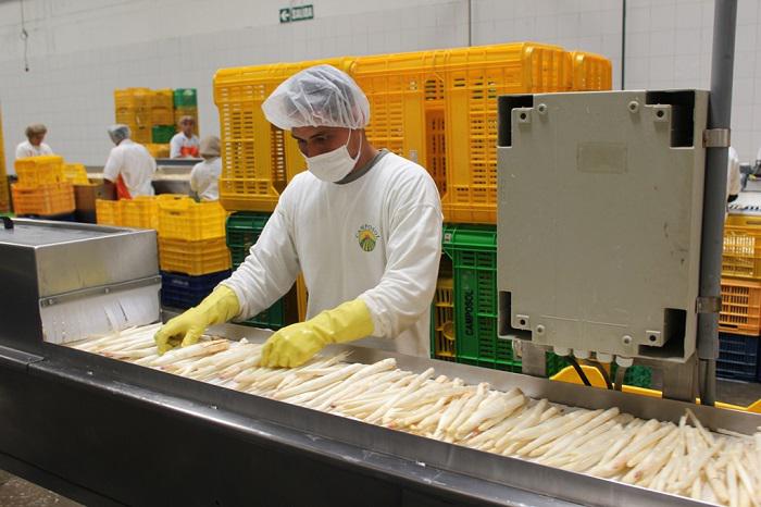 El empleo en el sector exportador creció casi 10% en el primer bimestre del año. (Foto: Difusión)