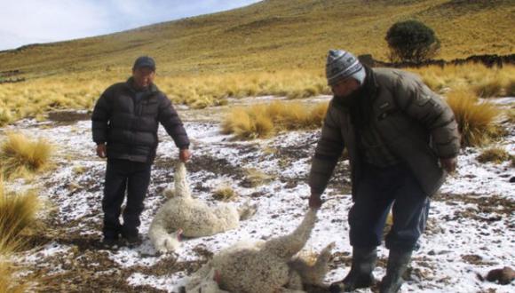 Son 11 regiones del Perú que serán afectados por las heladas, según alertó el Senamhi. (Foto: Andina)