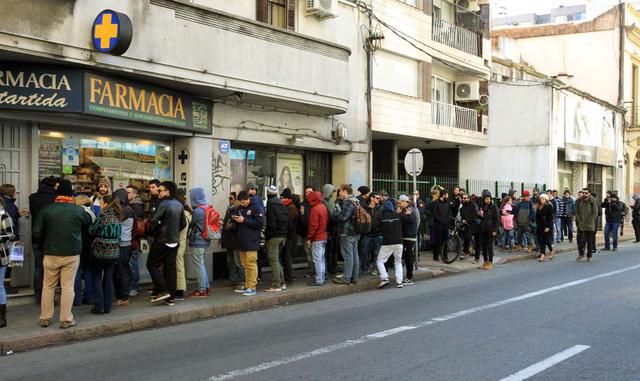 El proceso de compraventa de marihuana en las farmacias abrió la puerta a varias especulaciones relacionadas con la psicoactividad del producto que ofrece el Estado, la cantidad de farmacias habilitadas y la preocupación por mejorar el acceso a los usos m