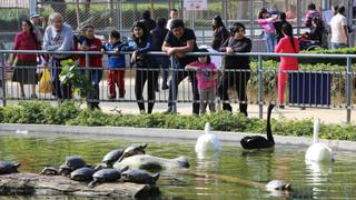 Feriado 31 de octubre: para quiénes es día no laborable y cuánto te pagarán si trabajas ese día