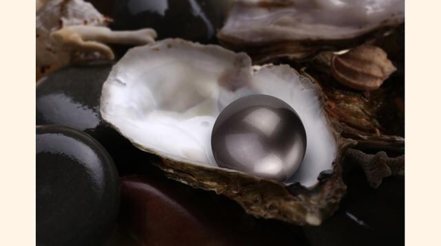 Las perlas de Islas Polinesias, llamadas tahitianas, son de gran tamaño, parecida a la australiana, y de colores negra o gris plateada. (Foto: Thinkstock)