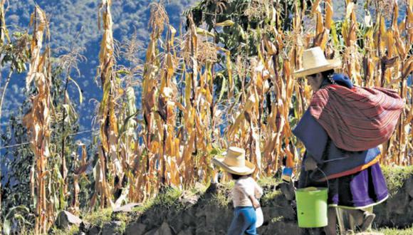 Cajamarca no solo ha aumentado sus niveles de pobreza, sino que estos se encuentran por encima de los de 2020 y sus niveles de pobreza extrema alcanzan el 18%”.(Foto: archivo)