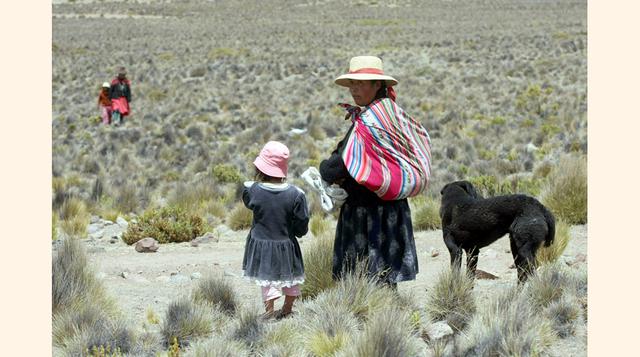 ¿Qué herramientas de política diferenciada sugiere desarrollar o fortalecer para hacer frente a la pobreza, tanto en el medio urbano como en el rural?