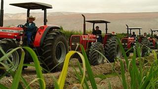 Minagri: La producción agropecuaria creció 2.4% en primer semestre del año