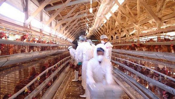 Un equipo de expertos chino visitó Estados Unidos en julio del 2017 a invitación de Washington para llevar a cabo comprobaciones sobre el terreno de las medidas para la prevención de la gripe aviar y el control de la carne avícola, indica la nota.