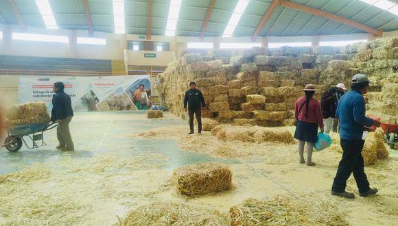 Agro Rural entregó alimento suplementario para ganado ovino, vacuno y camélido ante el déficit hídrico a consecuencia del Fenómeno El Niño. (Foto: Midagri)