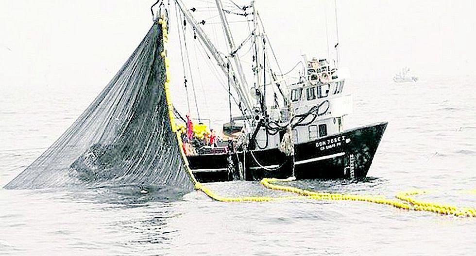 La pesca de la anchoveta fue suspendida el 15 de enero.