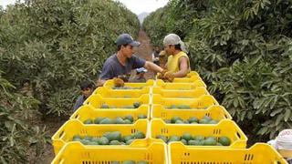 Agroexportación da muestra de recuperar su dinamismo en el primer bimestre