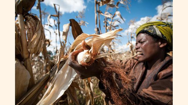 El tercer lugar es para Hailey Tucker, con una foto de una agricultora que recibe ayuda de un programa de financiación en Tanzania. (Foto: CGAP)