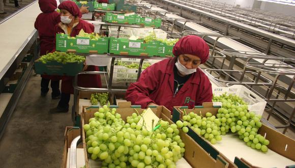 La Asociación de Exportadores (Adex) informó que los productos agrícolas peruanos se enviaron a 115 países en los primeros tres meses del año.