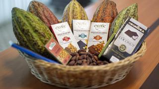 Productores de cacao y su apuesta por conquistar EE.UU. y Europa con chocolate peruano