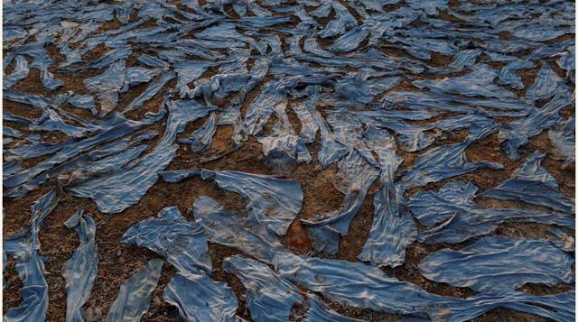 Piezas de cuero teñido en las orillas del Ganges, Kanpur.
