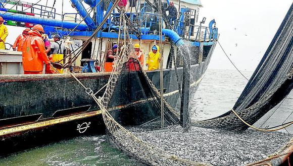 Este resultado contribuye con un 32% en el total las exportaciones pesqueras (Foto: Difusión)