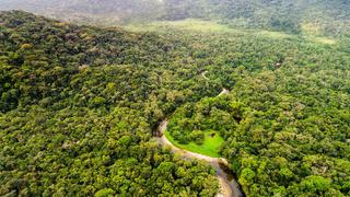 La naturaleza da servicios gratis por US$ 125 trillones, según experto