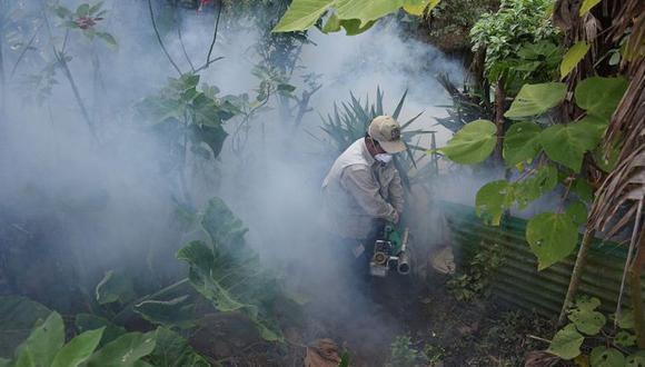 El Gobierno declaró emergencia sanitaria en 15 regiones del Perú por brote de dengue. (Foto: GETTY IMAGES)