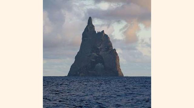 LA PIRÁMIDE DE BALL. En medio del mar de Tasmania se encuentra la pirámide de Ball. Su población: una tribu de insectos que se creía desaparecida desde 1930.