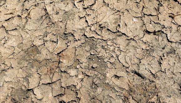 El lecho de un lago seco agrietado en el lago Mendocino durante una sequía en el condado de Mendocino, California, EE. UU., el miércoles 10 de agosto de 2022. Photographer: David Paul Morris/Bloomberg