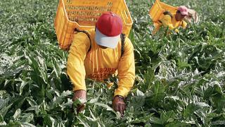 AGAP: Gobierno solo llama a trabajadores y no a empleadores en reglamento de negociación colectiva