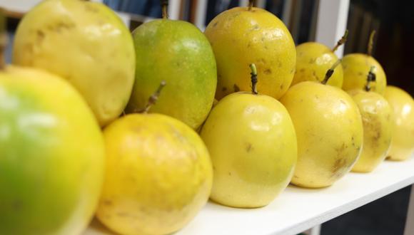 Agroindustrias AIB exporta frutos frescos, congelados, conservas y jugos. (Foto: Adex)